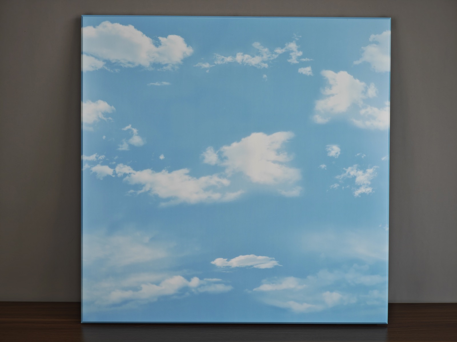Clip-in Ceiling Tiles